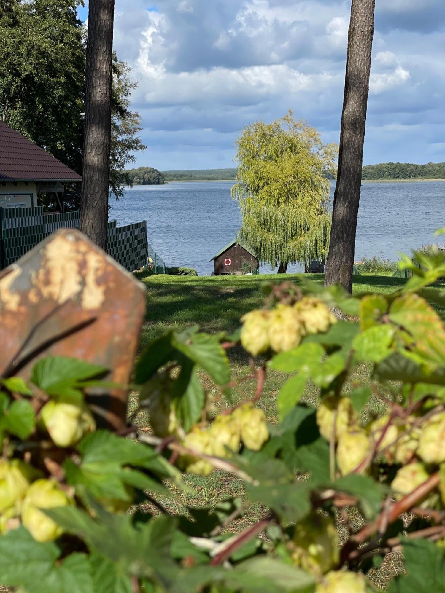 Urlaub Am Plaetlinsee - Haus Odin Wustrow  Zewnętrze zdjęcie