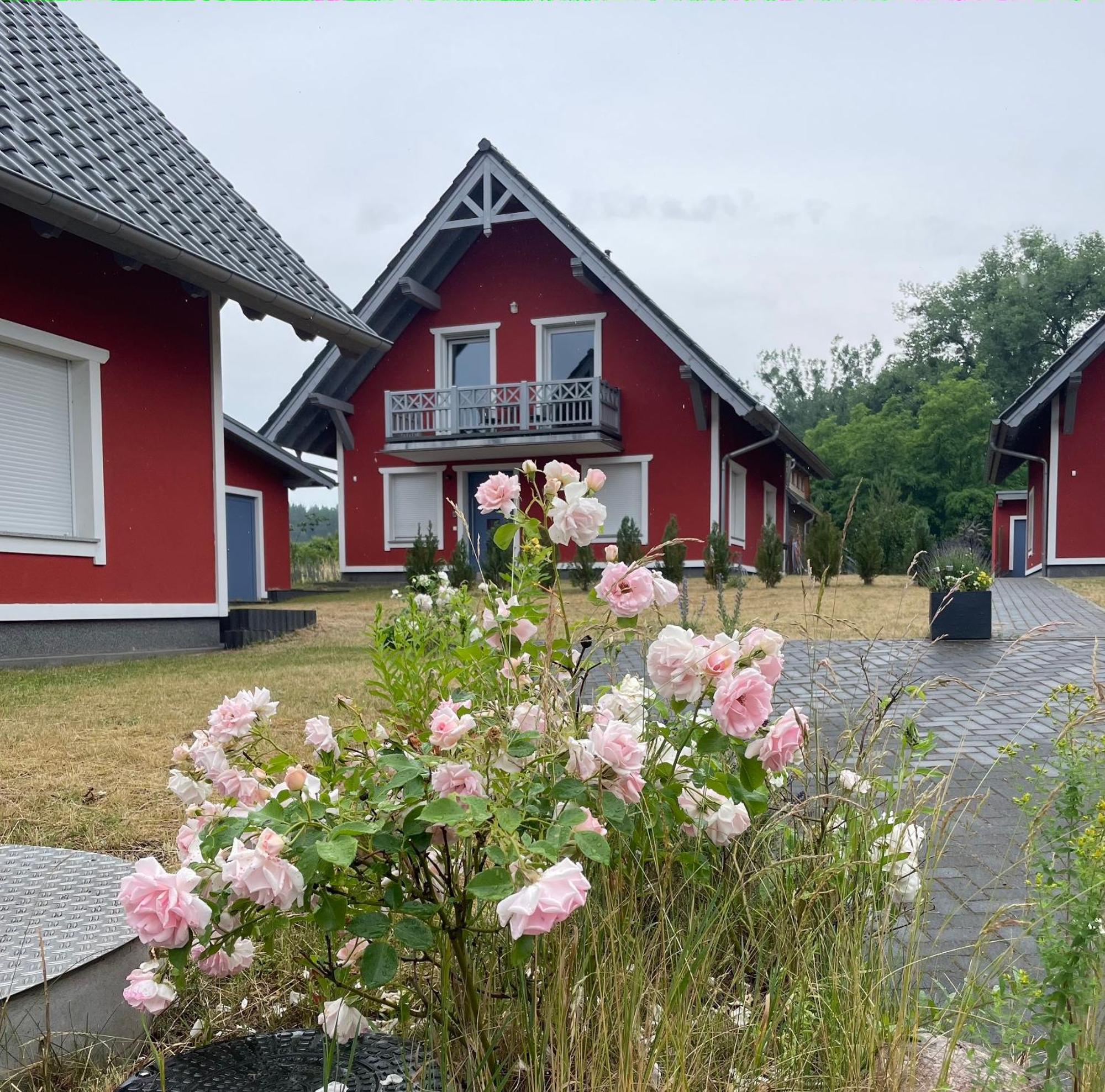Urlaub Am Plaetlinsee - Haus Odin Wustrow  Zewnętrze zdjęcie